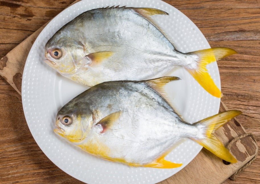 Deep Sea Golden Pompano 深海金鯧魚 (Frozen 1 Pc)
