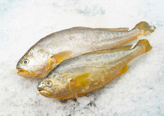 Yellow Croaker 冰黃花魚 (Frozen, 300g x 2)